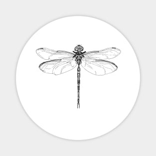 Dragonfly Ink Drawing Magnet